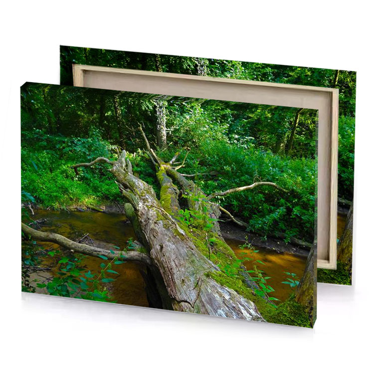 a fallen tree in the middle of stream olive drab canvas