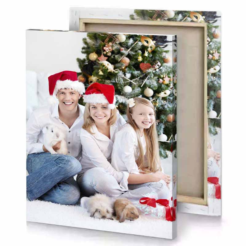 a family sitting on the floor with their dog platinum canvas