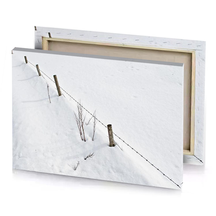 a fence in the snow with tree background silver canvas