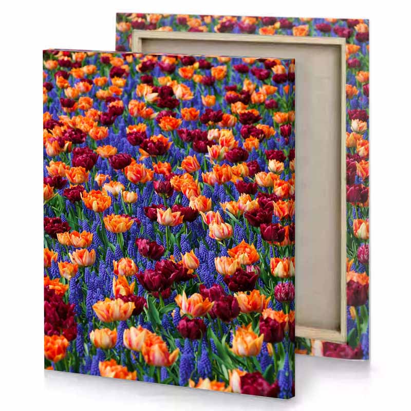 a field of colorful flowers dark slate blue canvas