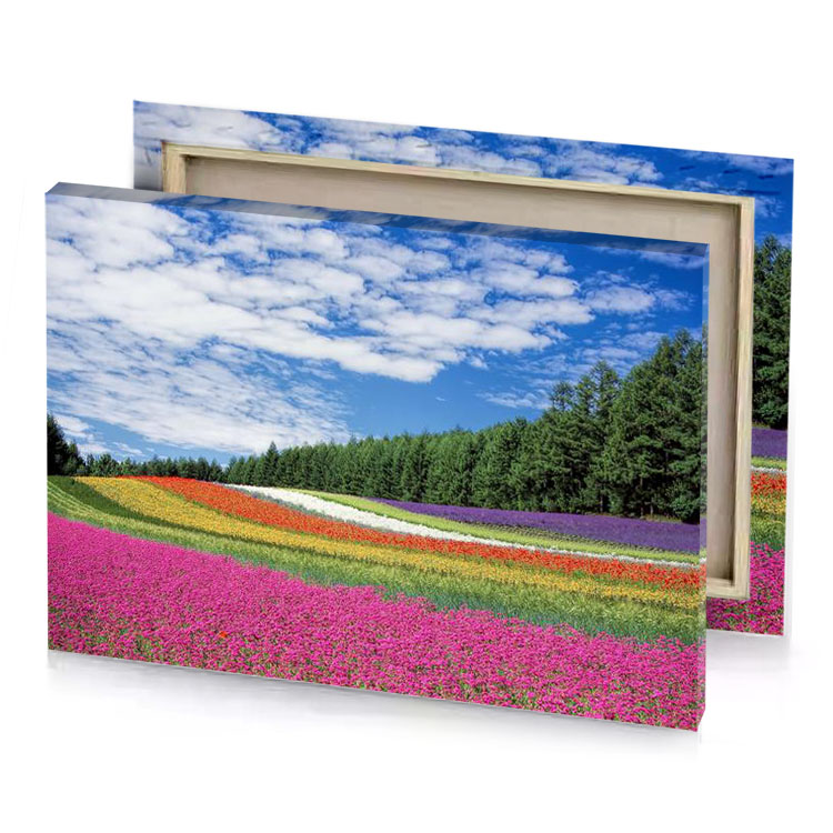 a field of flowers with blue sky in the background iceberg canvas