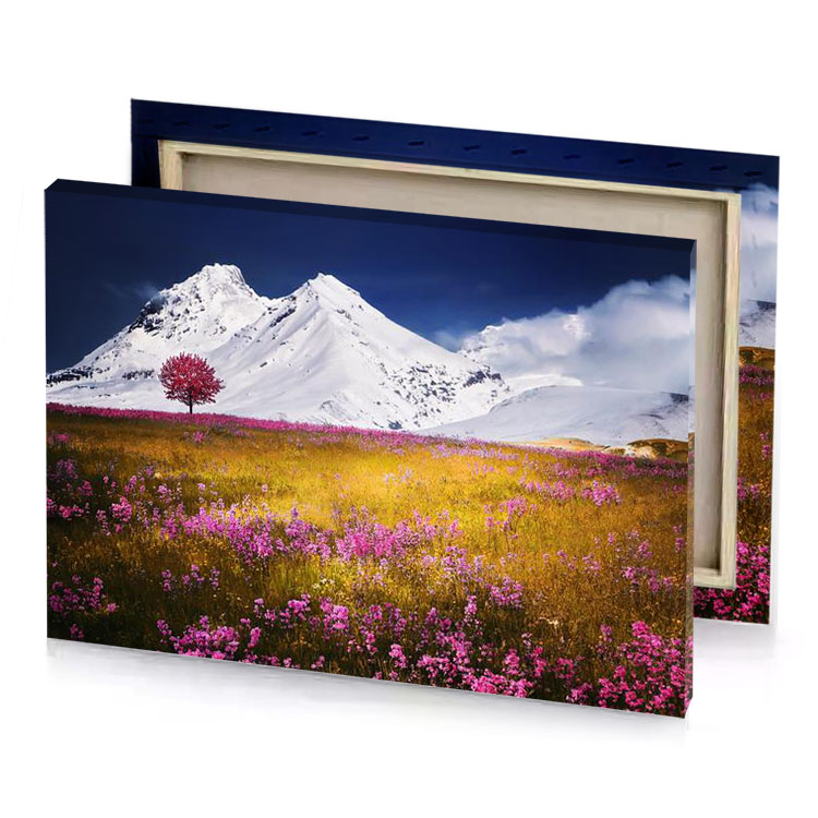 a field of flowers with mountain in the background peru canvas