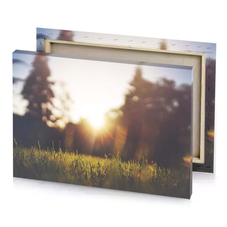 a field of grass burlywood canvas