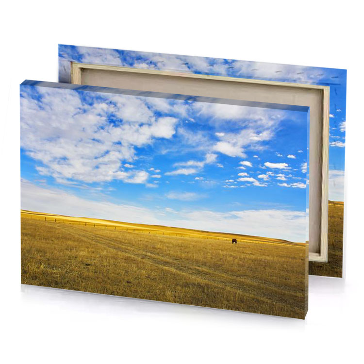 a field of grass golden rod canvas