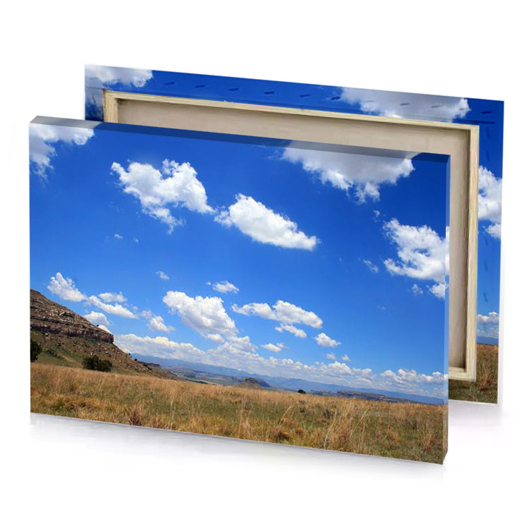 a field of grass royal blue canvas