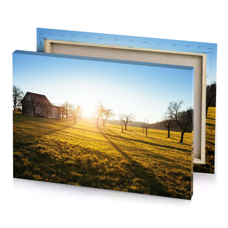 a field of grass yellow orange canvas