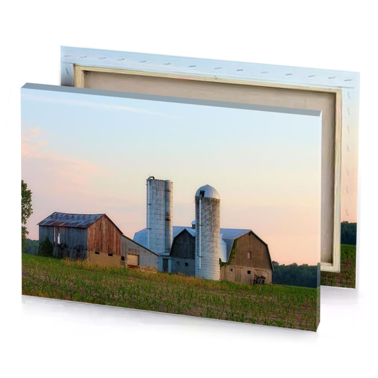 a field of green grass slate gray canvas