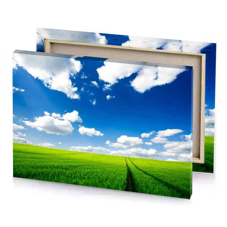 a field of green grass under blue sky cobalt canvas