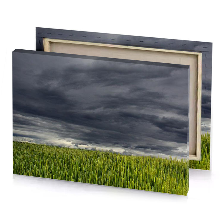 a field of green wheat under dark sky charcoal canvas