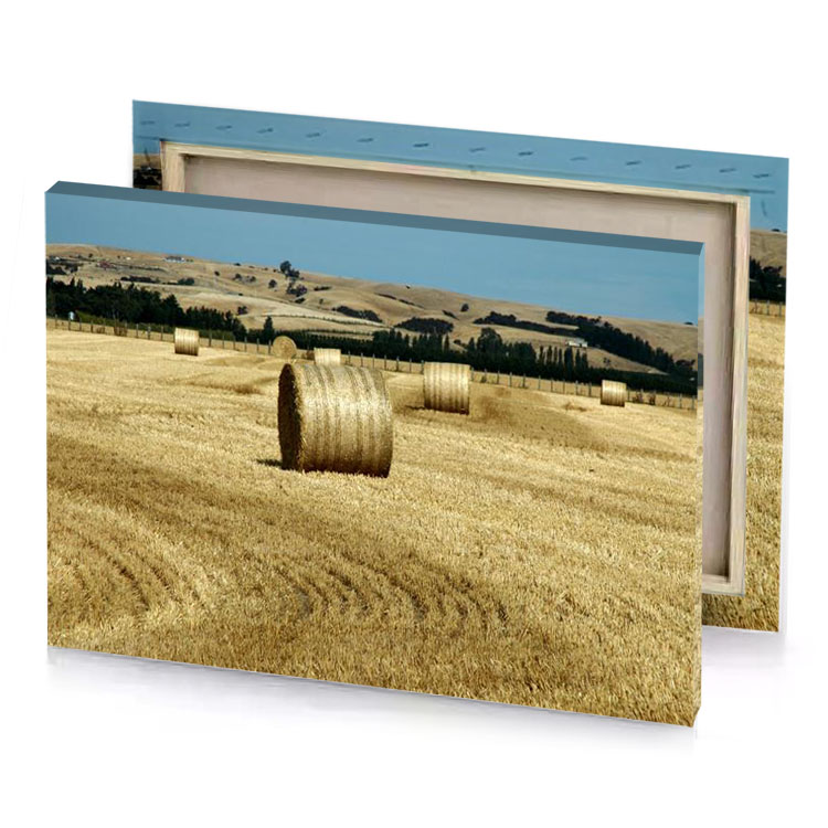 a field of hay burlywood canvas