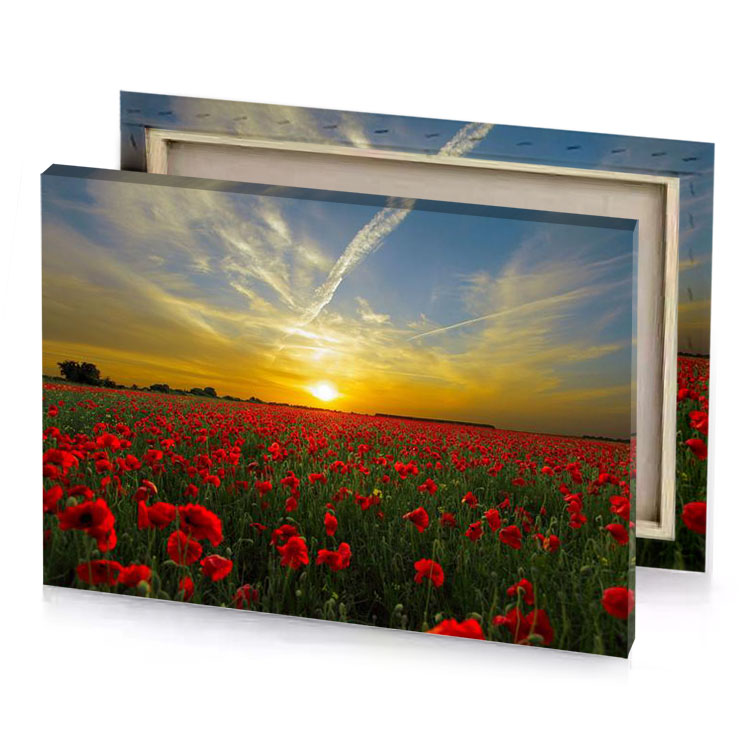 a field of red flowers with sunset in the background dark golden rod canvas