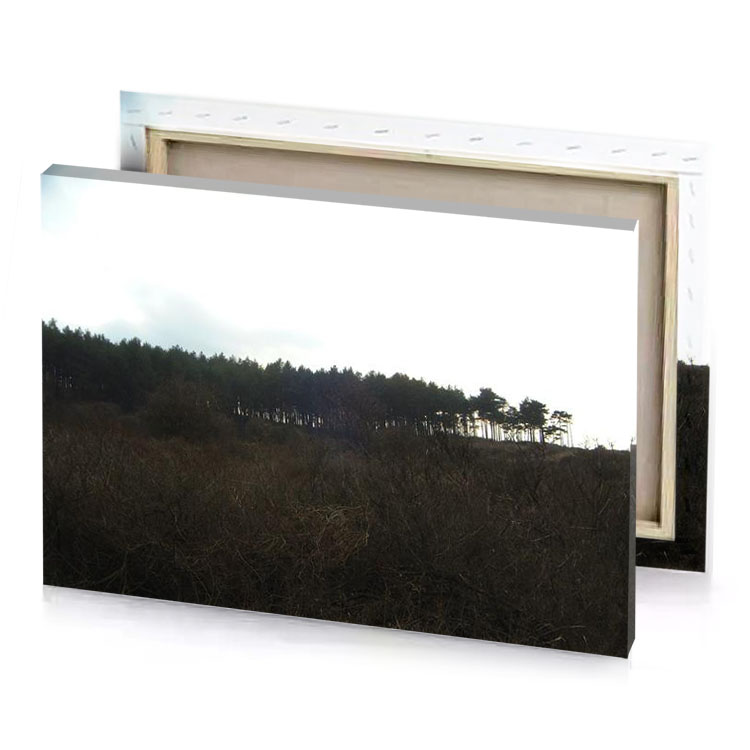 a field of tall grass bistre canvas