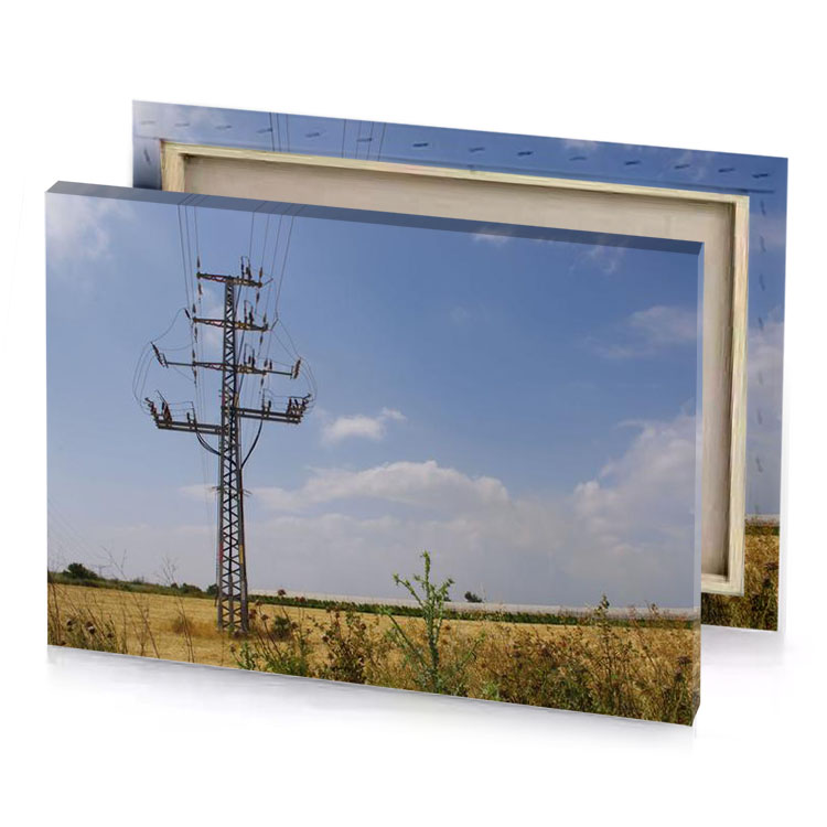 a field of tall grass manatee canvas