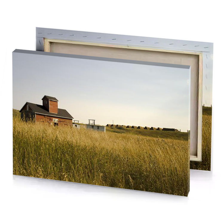 a field of tall grass peru canvas