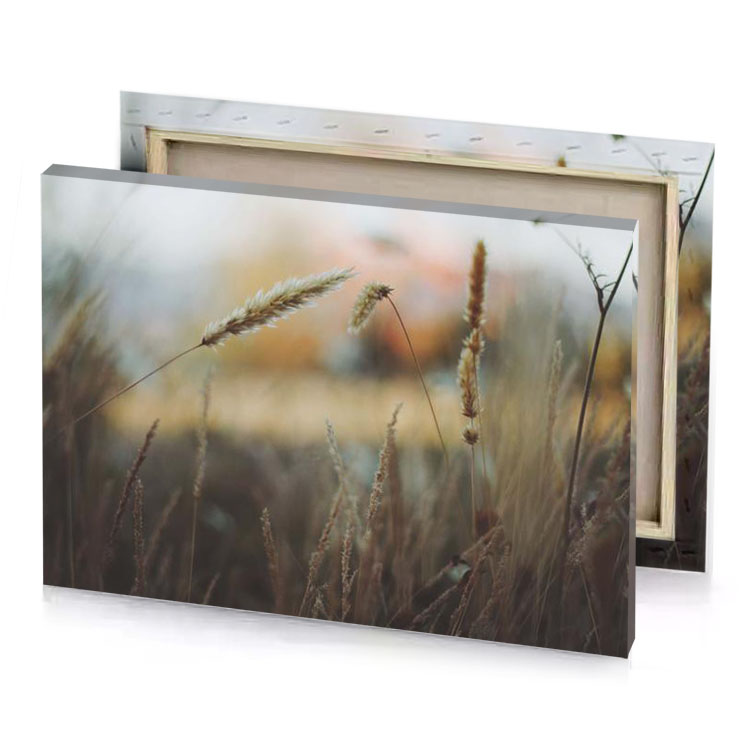 a field of tall grass rosy brown canvas