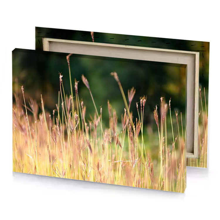 a field of tall grass with blur trees in the bistre canvas