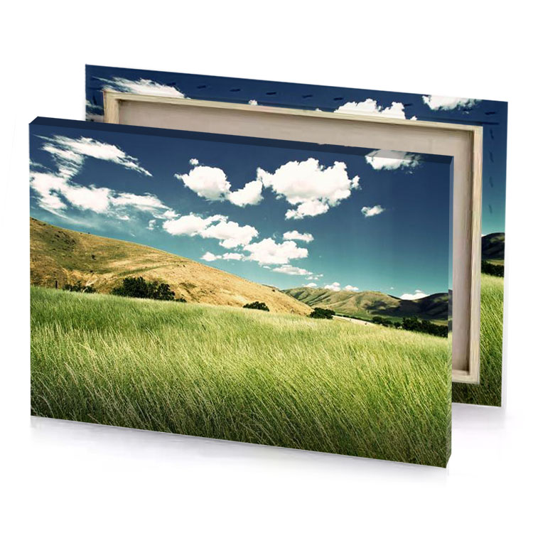 a field of tall grass with mountain in the background dark khaki canvas
