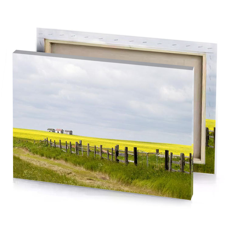 a field of yellow flowers banana canvas
