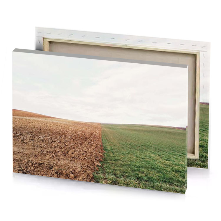 a field with dirt road leading to the horizon copper canvas