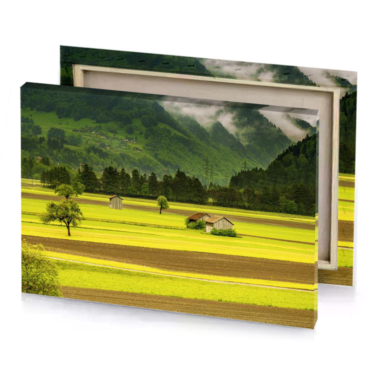 a field with small house in the middle golden rod canvas