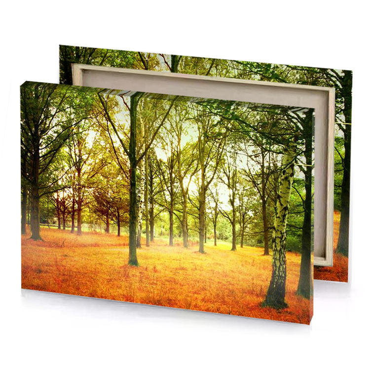 a field with trees and grass in the middle olive drab canvas