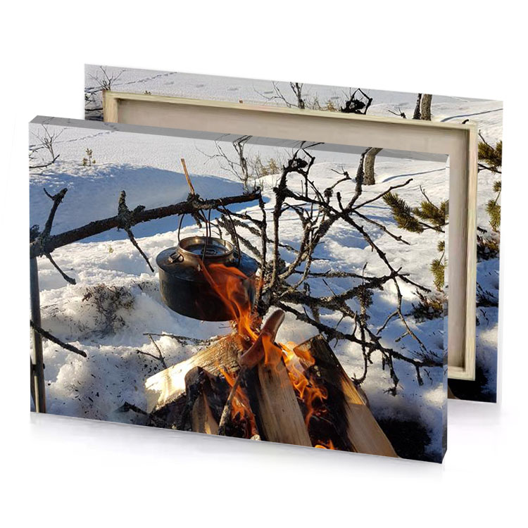 a fire in the snow with tree background saddle brown canvas