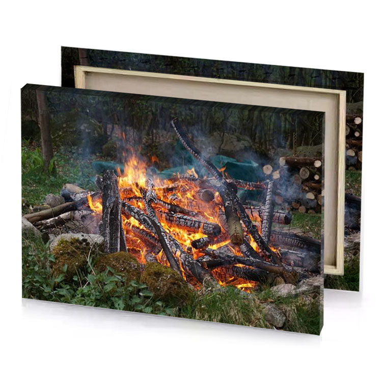 a fire in the woods copper canvas