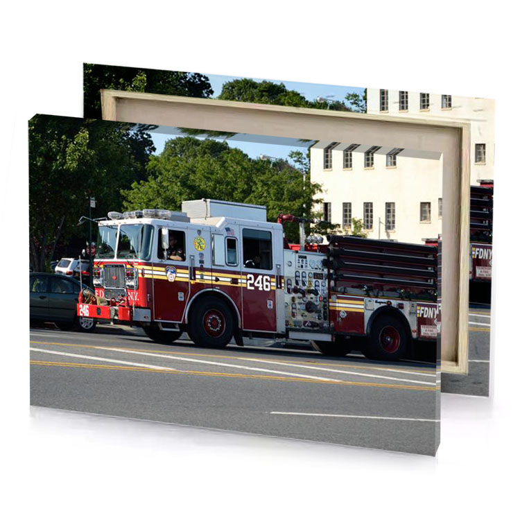 a fire truck manatee canvas