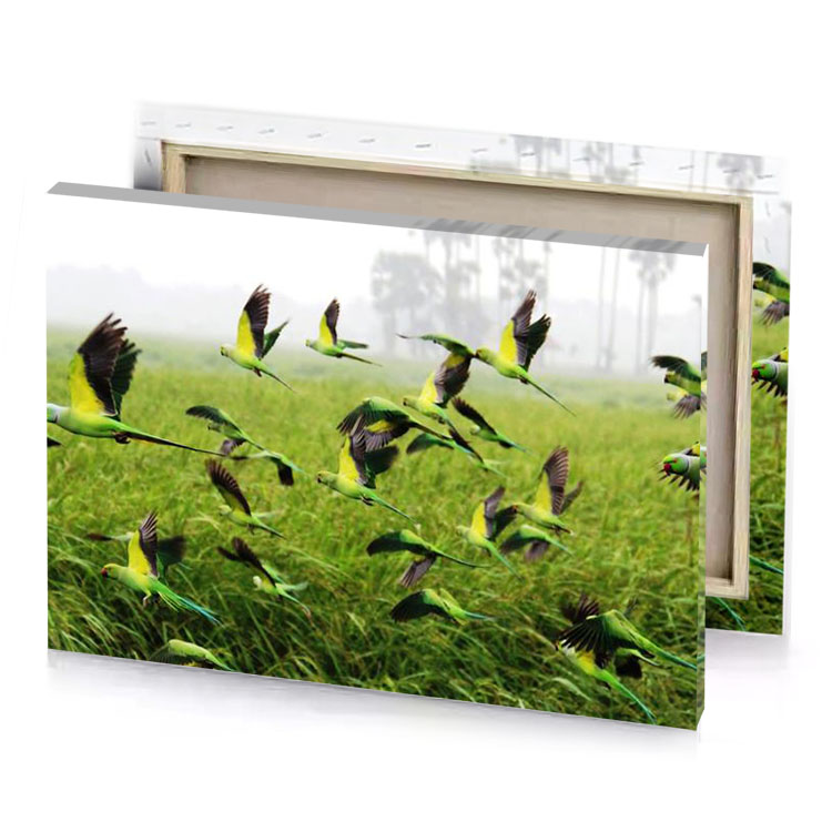 a flock of birds flying in the air yellow green canvas