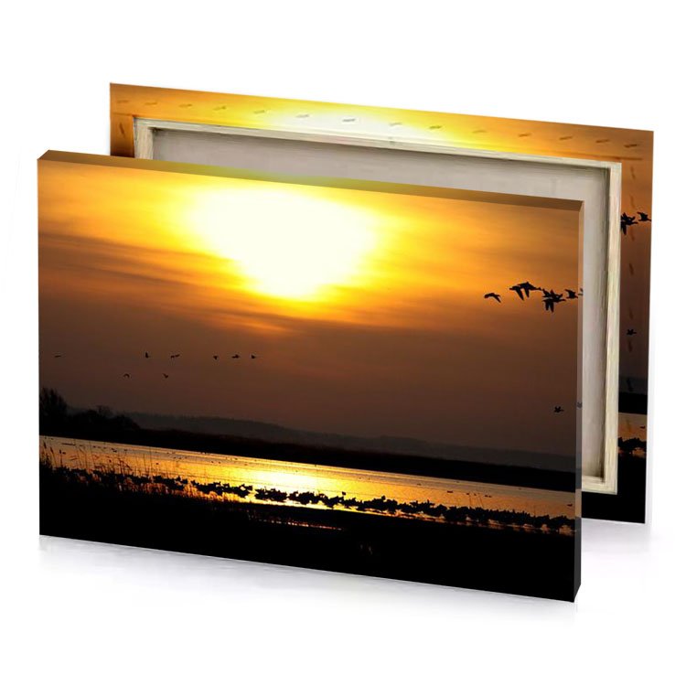 a flock of birds flying over lake taupe canvas