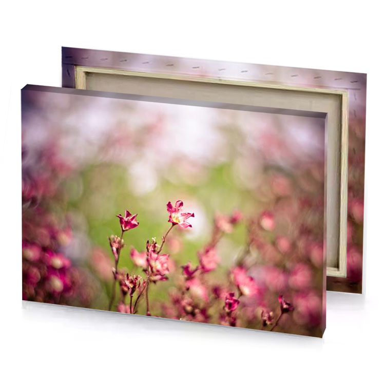 a flower in the middle of field dark khaki canvas