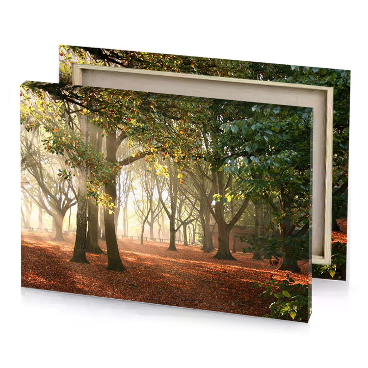 a forest filled with lots of leaves and trees champagne canvas
