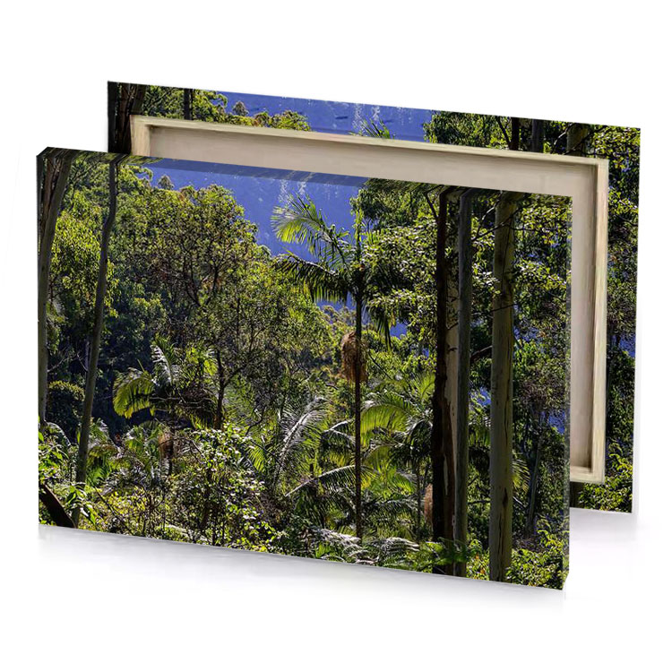 a forest filled with lots of trees and plants dark olive green canvas
