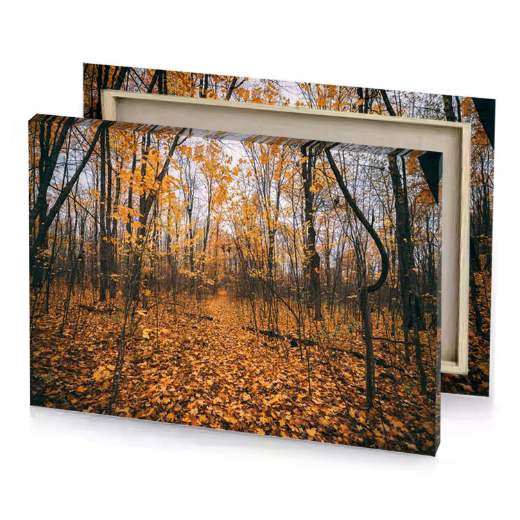 a forest filled with lots of yellow leaves copper canvas