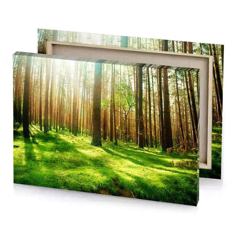 a forest with lots of trees and grass olive drab canvas