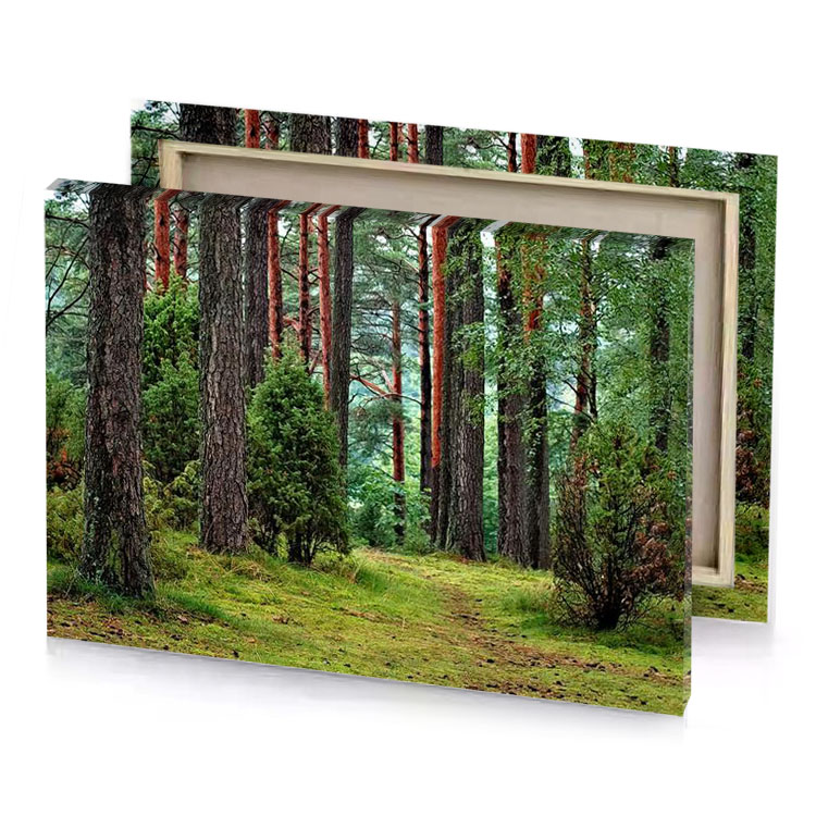 a forest with lots of trees and grass yellow green canvas