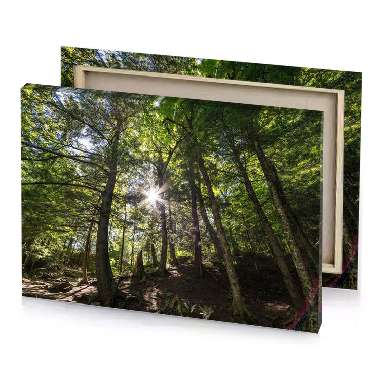 a forest with lots of trees and rainbow colored ribbon camouflage green canvas