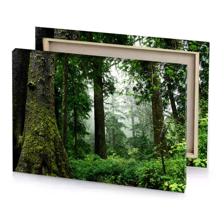 a forest with moss growing on the trees camouflage green canvas
