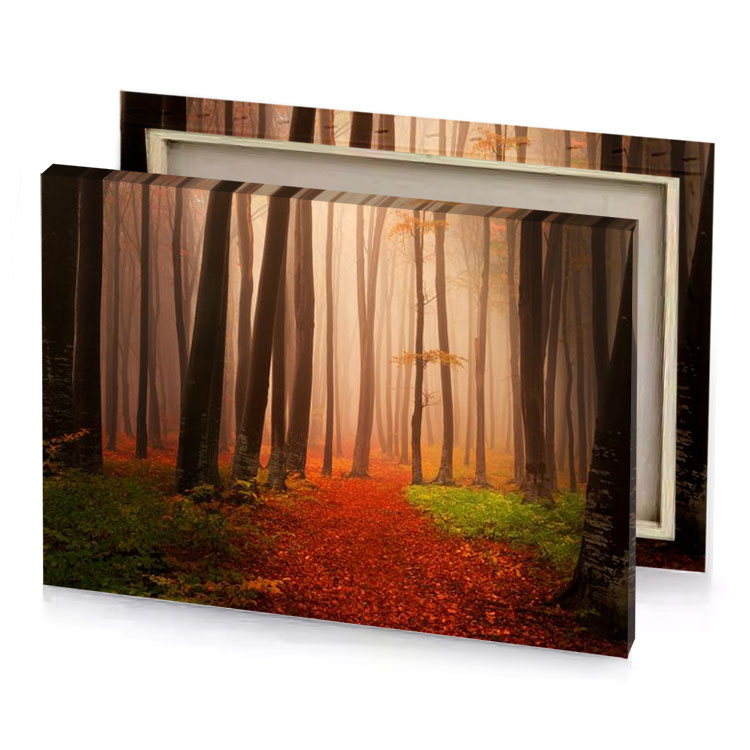 a forest with path through it zinnwaldite brown canvas