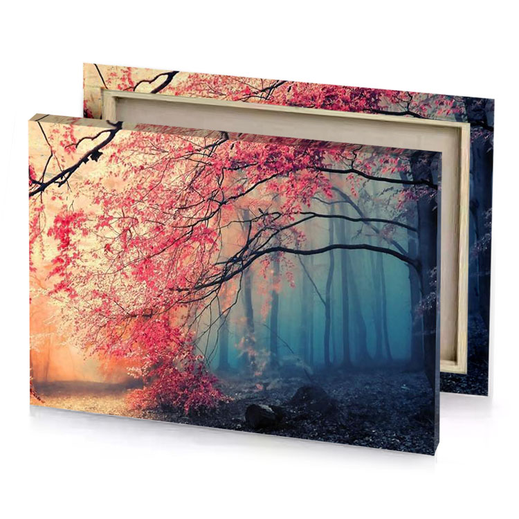 a forest with red leaves and fog charcoal canvas