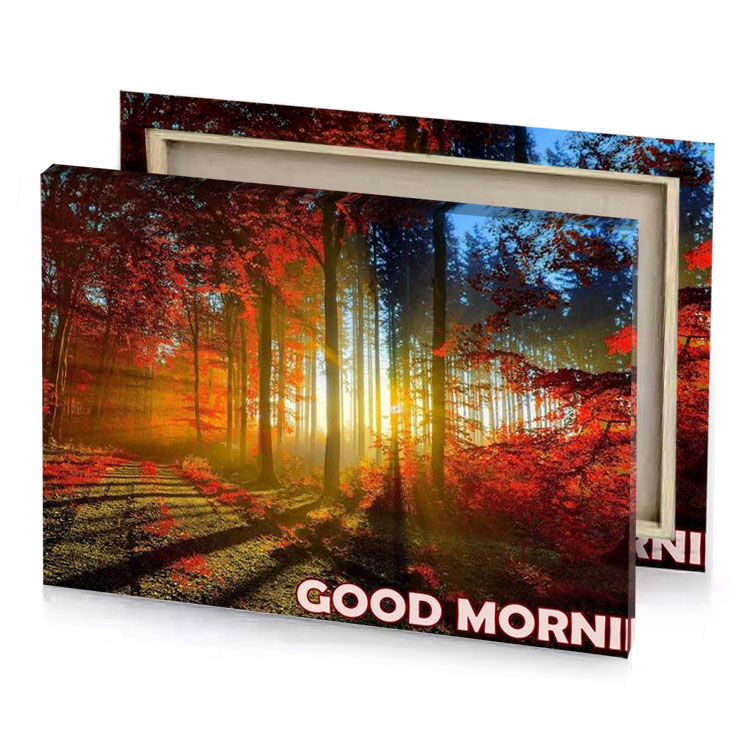 a forest with the sun shining through it sienna canvas