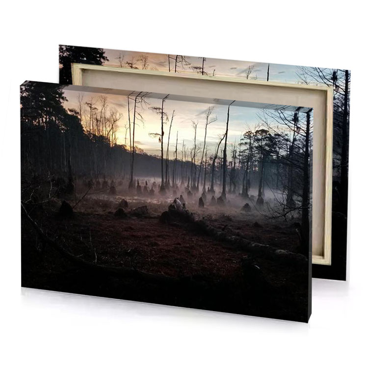 a forest with trees and fire in the background dim gray canvas