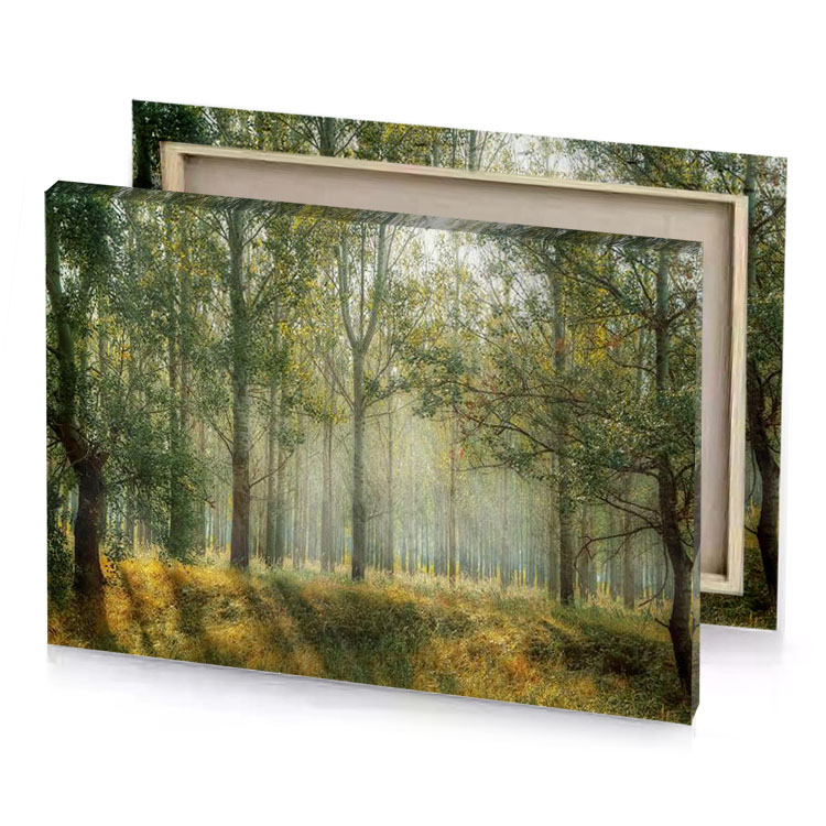 a forest with trees and grass in the fore rosy brown canvas