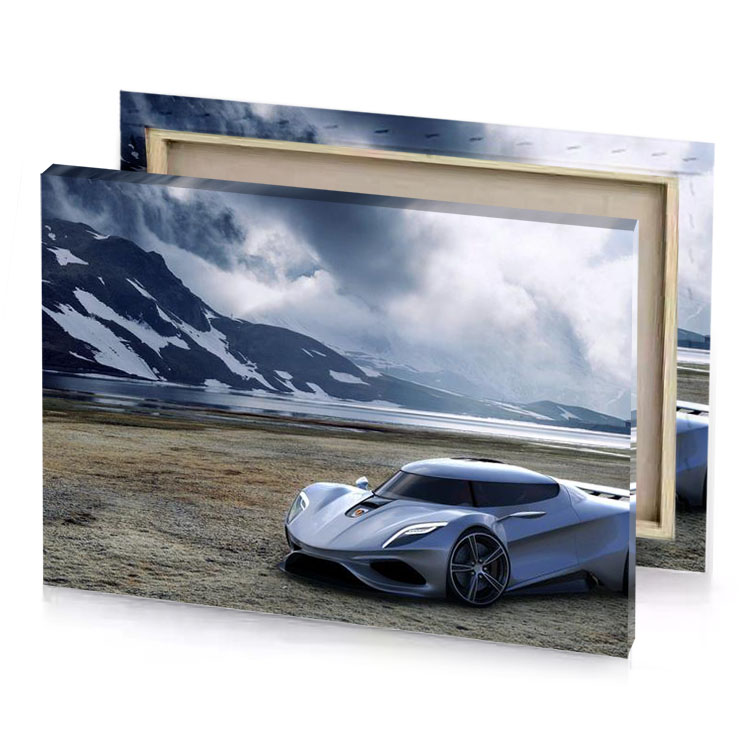 a futuristic car in the mountains manatee canvas
