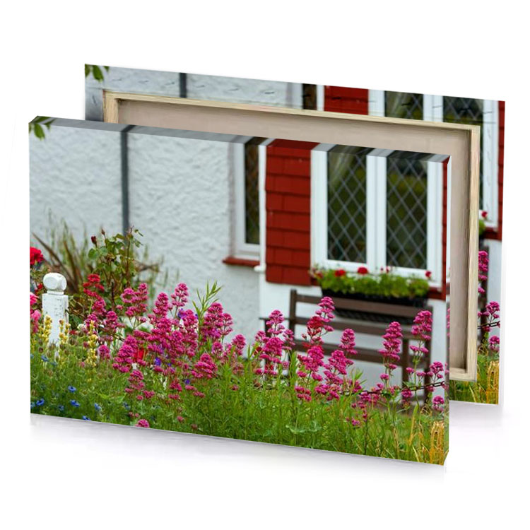 a garden with flowers and white house maroon canvas
