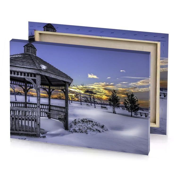 a gaze in the snow manatee canvas