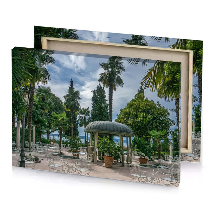 a gaze with palm trees and view of the ocean manatee canvas