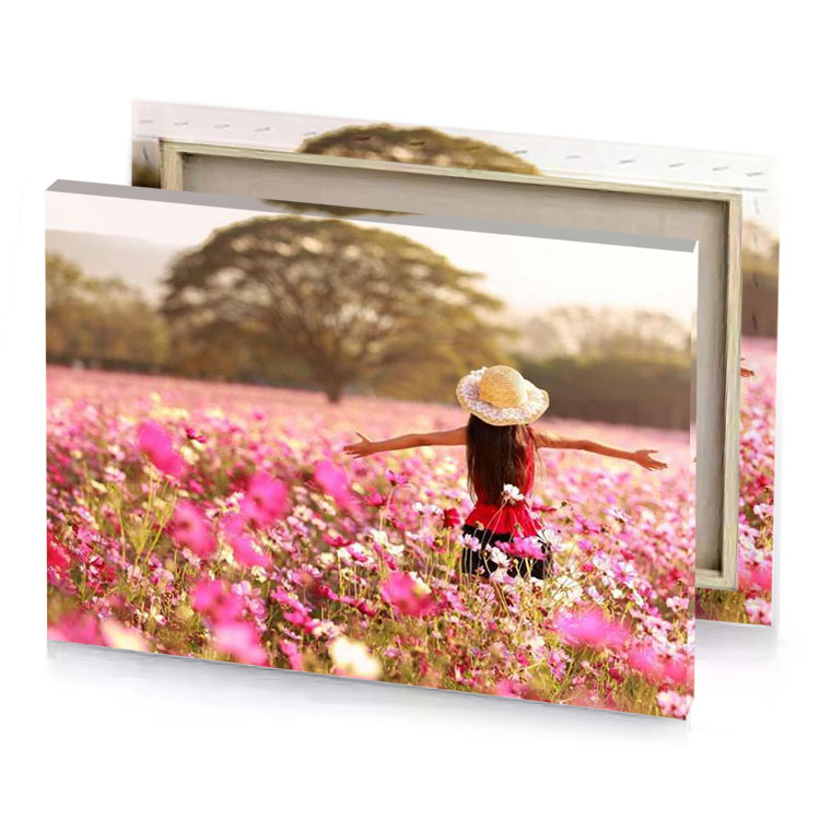 a girl in field of flowers seashell canvas