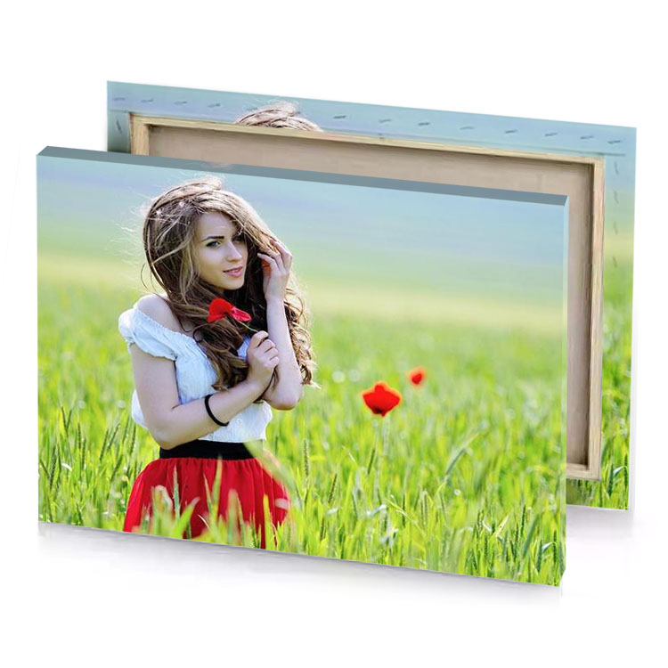 a girl in field with poppy sage canvas