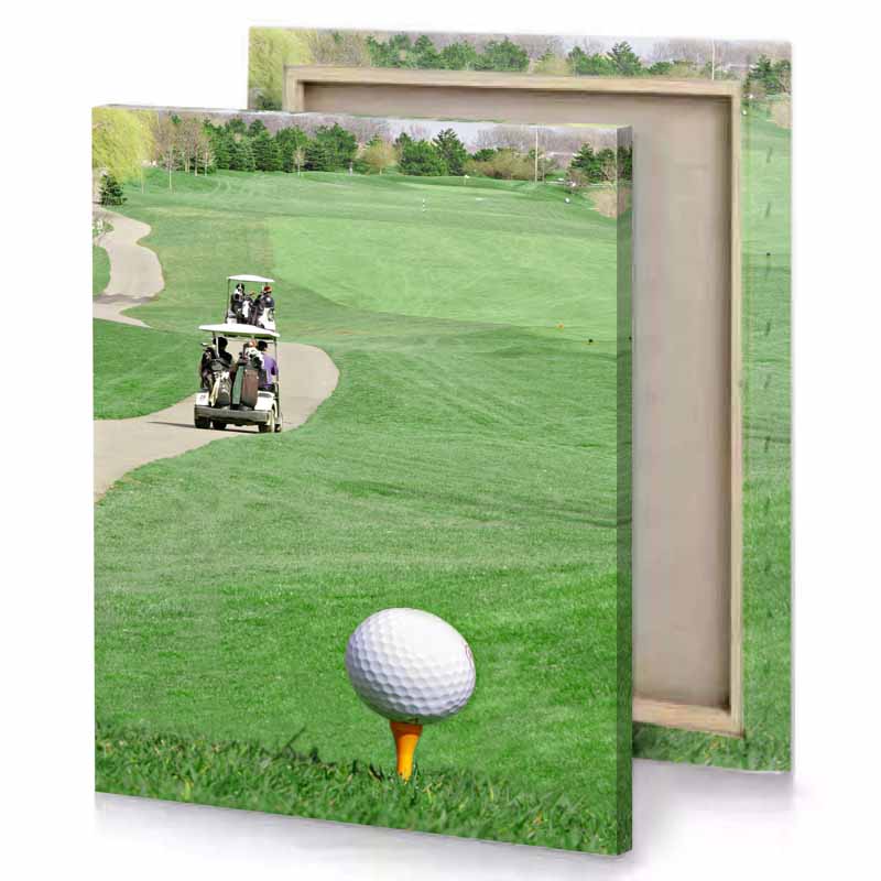 a golf player is driving his cart dark sea green canvas